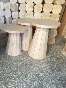 ham-ahsap-mantar-zigon-sehpa-ankara-siteler-0633